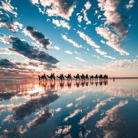 Sunset camel ride in Australia