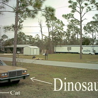 Jurassic Trailer Park