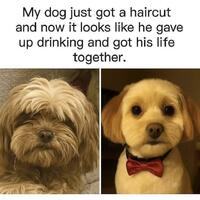 Getting your life in order