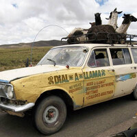 Llama delivery service