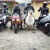 Let's ride!