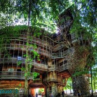 the world's largest tree house is located in Crossville, Tennessee