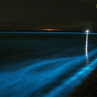 Bioluminescent Lake