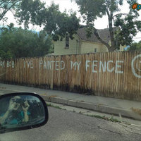 Painted my fence