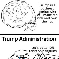 Lazy fucking penguins
