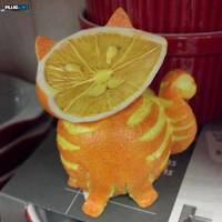 Fruit cat