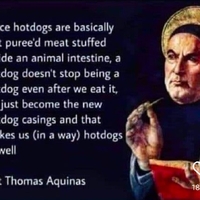 Hotdogs