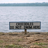 Perfect place for a swim then!