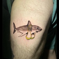 Tittyshark
