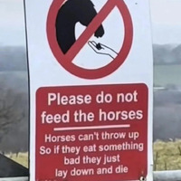 Do not feed hores