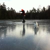 Ice .....