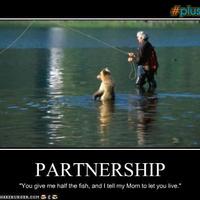 bear fishing partnership