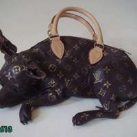 Louie Vuitton Chihauha purse