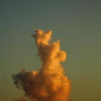 Kangaroo cloud
