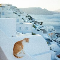 Orange cat on white wall overlooking a coastal village by Anastase Maragos