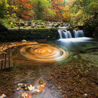 Pure Autumn by Michael Bottari