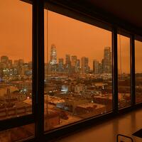 San Francisco apocalypse