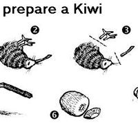 kiwi prep