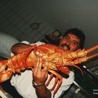 Lobster after