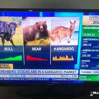CNBC gives up; stocks in kangaroo market