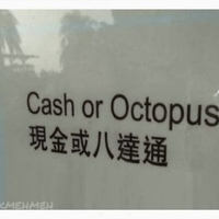 Goats not accepted in Japan