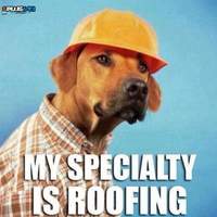 Roofing dog