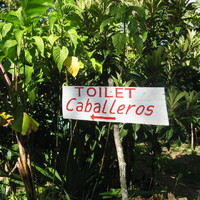Toilets on the left (chiapas, mexico 2005)