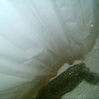 my cat taking a shower with me 2