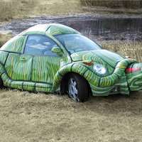 Tortoise VW