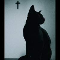cat and cross