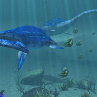 Plesiosaurs and Ammonites