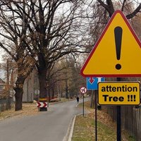 attention tree