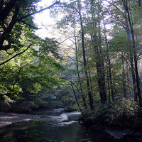 The Oirase stream -Aomori, Japan