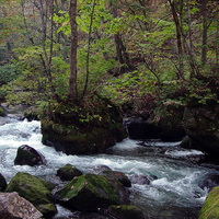 The Oirase stream -Aomori, Japan