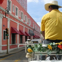 On a "calesse" in Merida, Mexico 2005