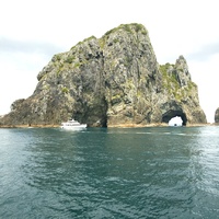 the hole in the rock, n.z.