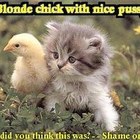 Blonde Chick With Nice Pussy