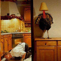 i'm not a turkey, i'm a lamp