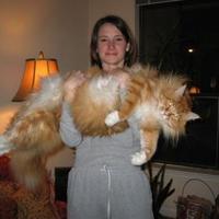 Huge pussy cat...