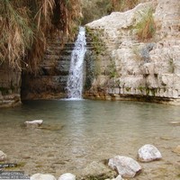 wadi david, dead sea area