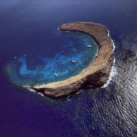 great dive site
