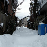 Nagaoka -Jan. 10, 2006