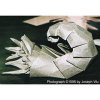 State of Origami: Ammonite