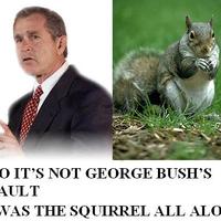 not bush's fault