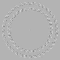 Spinning circles illusion...