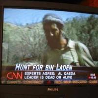 Bin Laden experts say...
