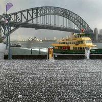 Sydney Snow 2004, Harbour Bridge...