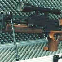 the w2000 rifle