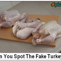 Spot the fake turkey