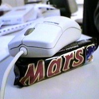 Mouse found on Mars